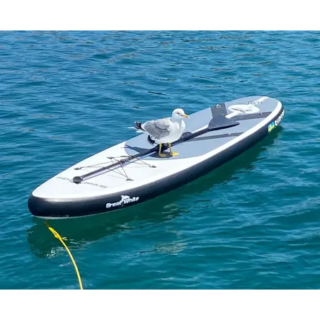 Paddleboard SUP330 från Greatwhite Paddleboard SUP330 från Greatwhite
