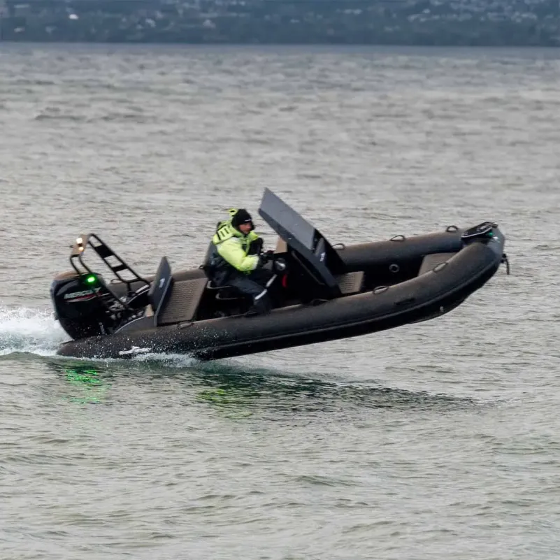 DLX500 ribbåt med flipsäten