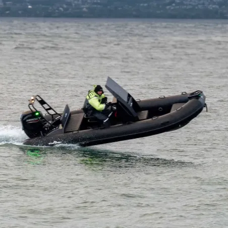 DLX500 ribbåt med flipsäten