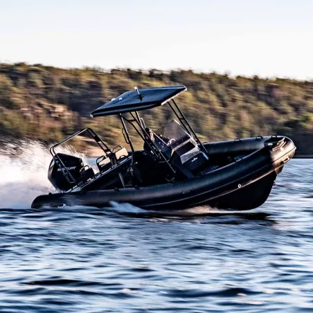 DLX700 med T-top och mercury 250hk