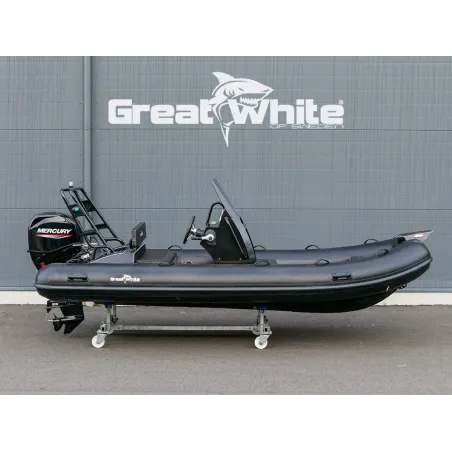 Begagnad DLX460 med Mercury 50hk,  2024