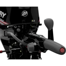 Mercury 20HK EFI Rorkult 2