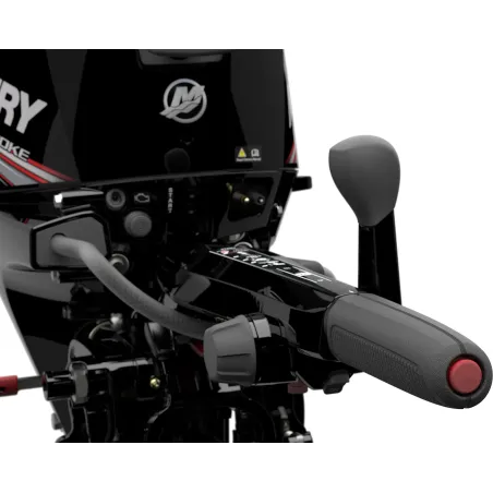 Mercury 20HK EFI Rorkult