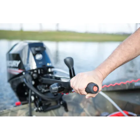 Mercury 20HK EFI Rorkult