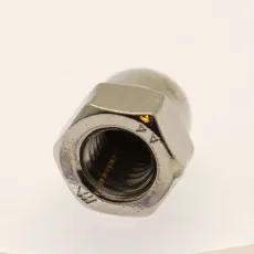 Rostfri Kupolmutter M6 AISI 316 syrafast A4 2